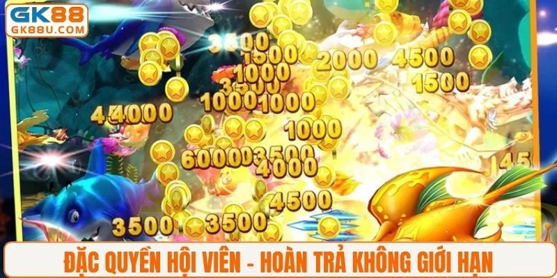Đặc quyền hội viên - Hoàn trả không giới hạn 