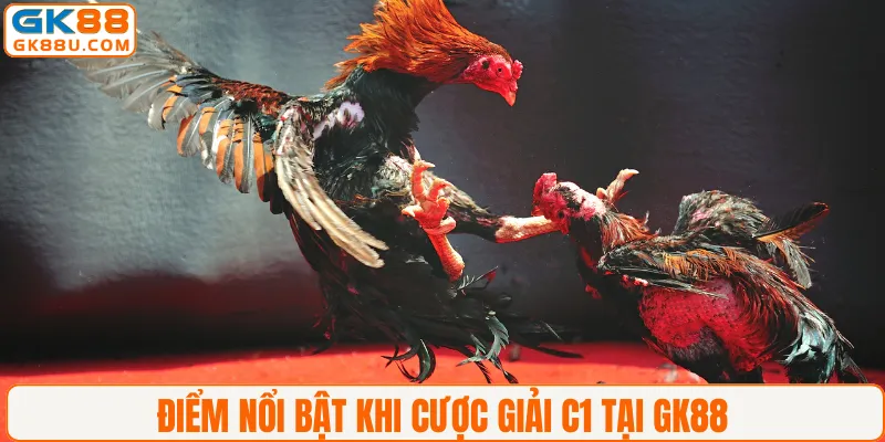 Điểm nổi bật khi cược giải C1 tại GK88